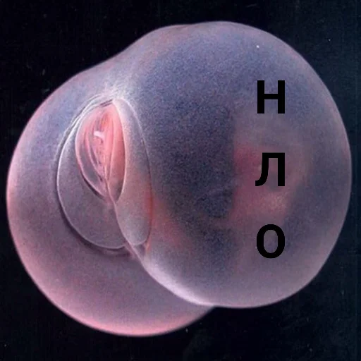 Sticker Паразиты - 10