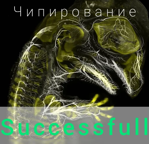 Sticker Паразиты - 8