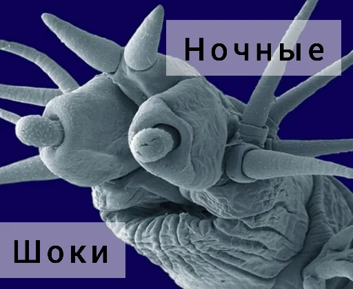 Sticker Паразиты - 5