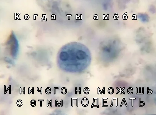 Sticker Паразиты - 4