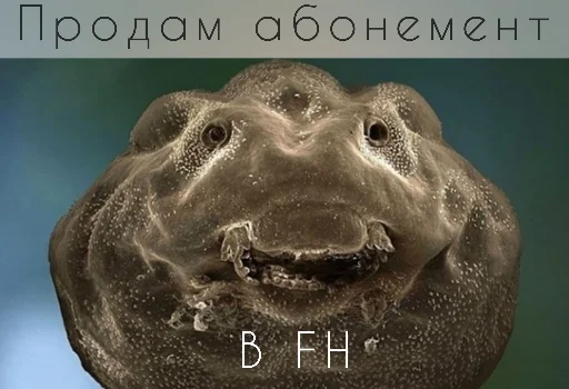 Sticker Паразиты - 1