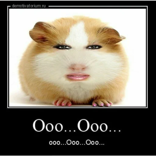 животное млекопитающее СМС