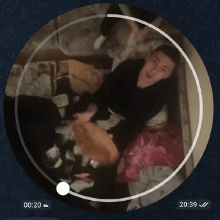 Стикер Юморной стикерпак - 9