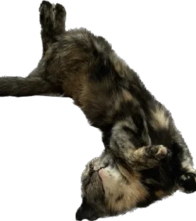 Стикер Hi, I’m Kitty - 6