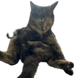 Стикер Hi, I’m Kitty - 4