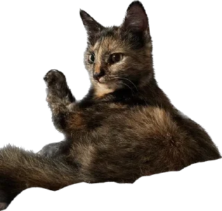 Стикер Hi, I’m Kitty - 11