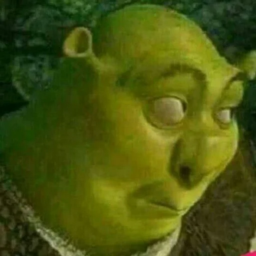 reef underwater sponge