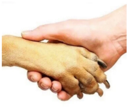 Человек палец гвоздь