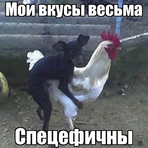 Sticker Yuppydoras - 1