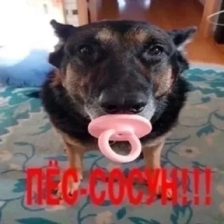 Стикер алабастер - 11