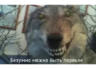 Стикер Больше стикеров 👉🏻 @stickertg4 - 0