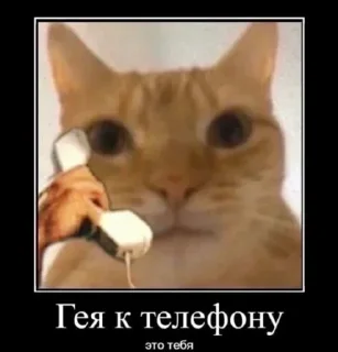 Стикер Больше стикеров 👉🏻 @stickertg4 - 9