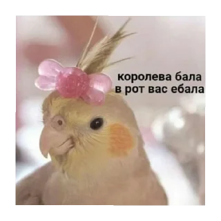 Стикер Ыыы - 0