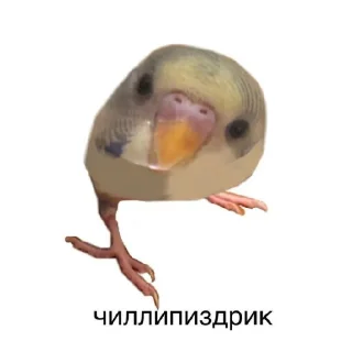 Стикер Ыыы - 8