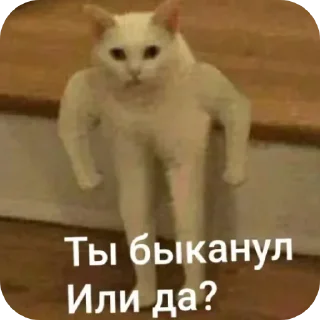 Стикер Ыыыы - 0