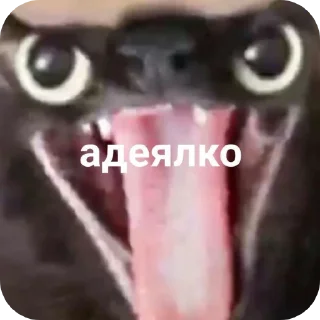 Стикер Ыыыы - 2