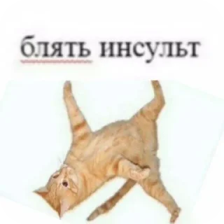 Стикер Ыыыы - 3