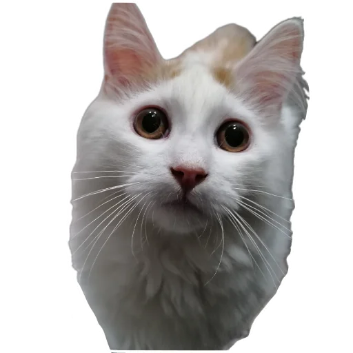 Стикер Yyyy8815 - 1