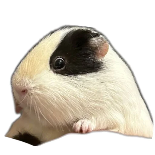 Стикер Yyyy8815 - 1