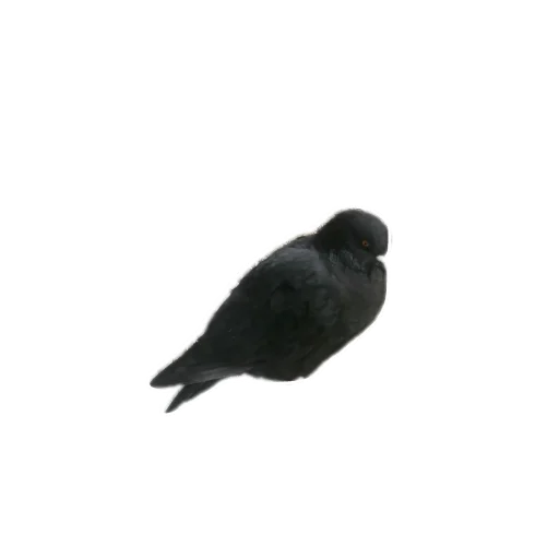 Стикер Yyyy8815 - 1