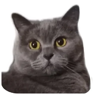 Стикер Ыыыы - 4