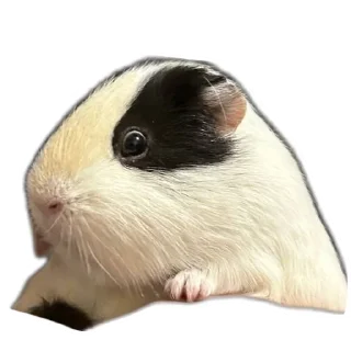 Стикер Ыыыы - 6