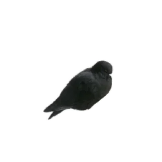 Стикер Ыыыы - 3