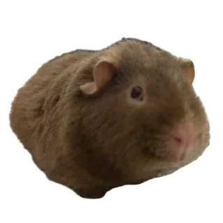 Стикер Ыыыы - 2