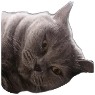 Стикер Ыыыы - 9