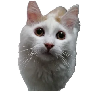 Стикер Ыыыы - 7