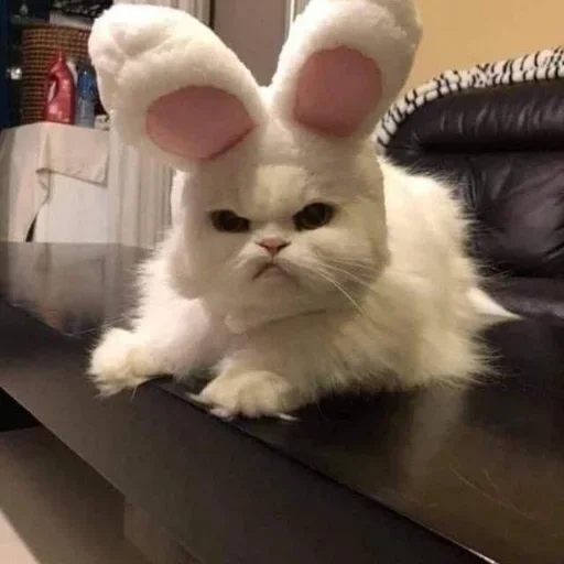 Стикеры тут 👉 @Femoji - 