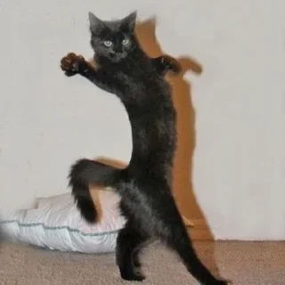 Sticker Стикеры тут 👉 @Femoji - 8