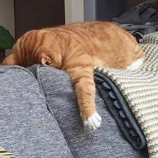 Sticker Стикеры тут 👉 @Femoji - 4