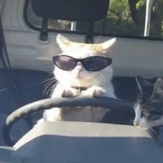 Sticker Стикеры тут 👉 @Femoji - 2