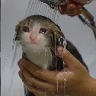 Sticker Стикеры тут 👉 @Femoji - 11