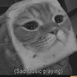 Sticker Стикеры тут 👉 @Femoji - 1