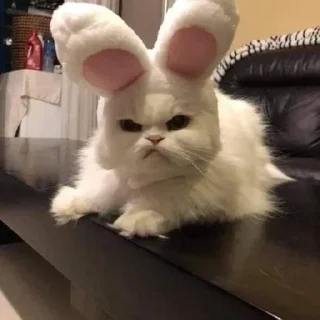 Sticker Стикеры тут 👉 @Femoji - 3