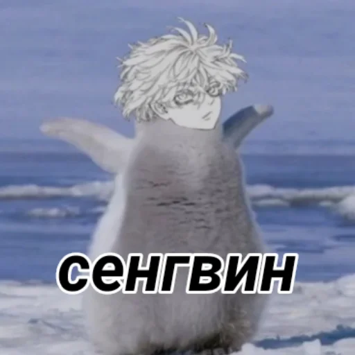 животное снег пингвин