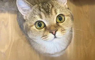 Стикер Создать стикеры|@EmojiRuBot - 11