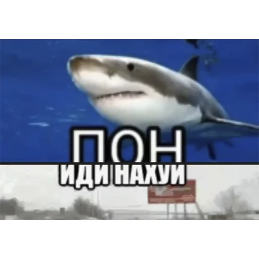 Стикер ZASimps - 1