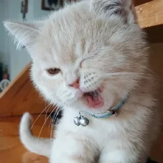 Sticker Больше стиков тут: @stikery4 - 3