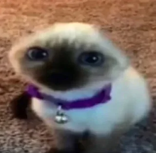 Sticker Больше стиков тут: @stikery4 - 7