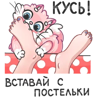 Стикер Больше стиков тут: @stikery4 - 8