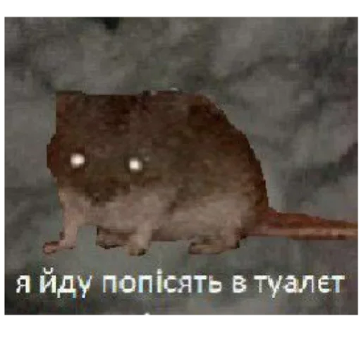 Sticker ZFdjCGmrBs_by_WmojiBot - 1