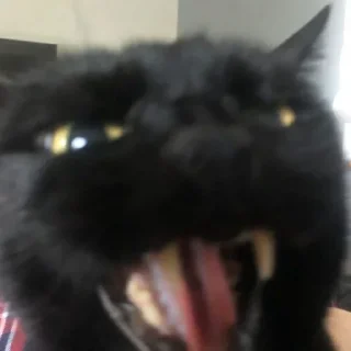 Стикер Стикеры тут 👉 @Femoji - 0