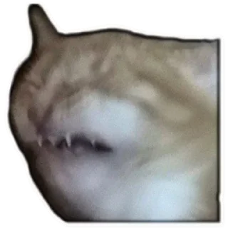 Стикер @sexstikkers - 5