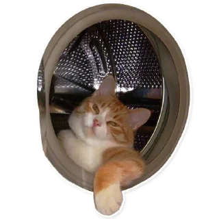 Стикер @sexstikkers - 6