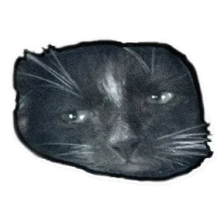 Стикер @sexstikkers - 9