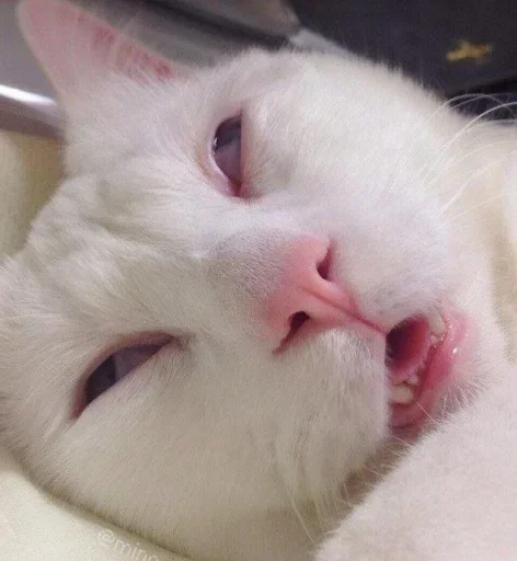 Sticker @its_me_zhan by @fStikBot - 6