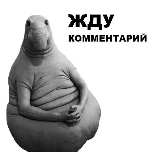 ЖДУН - maternity